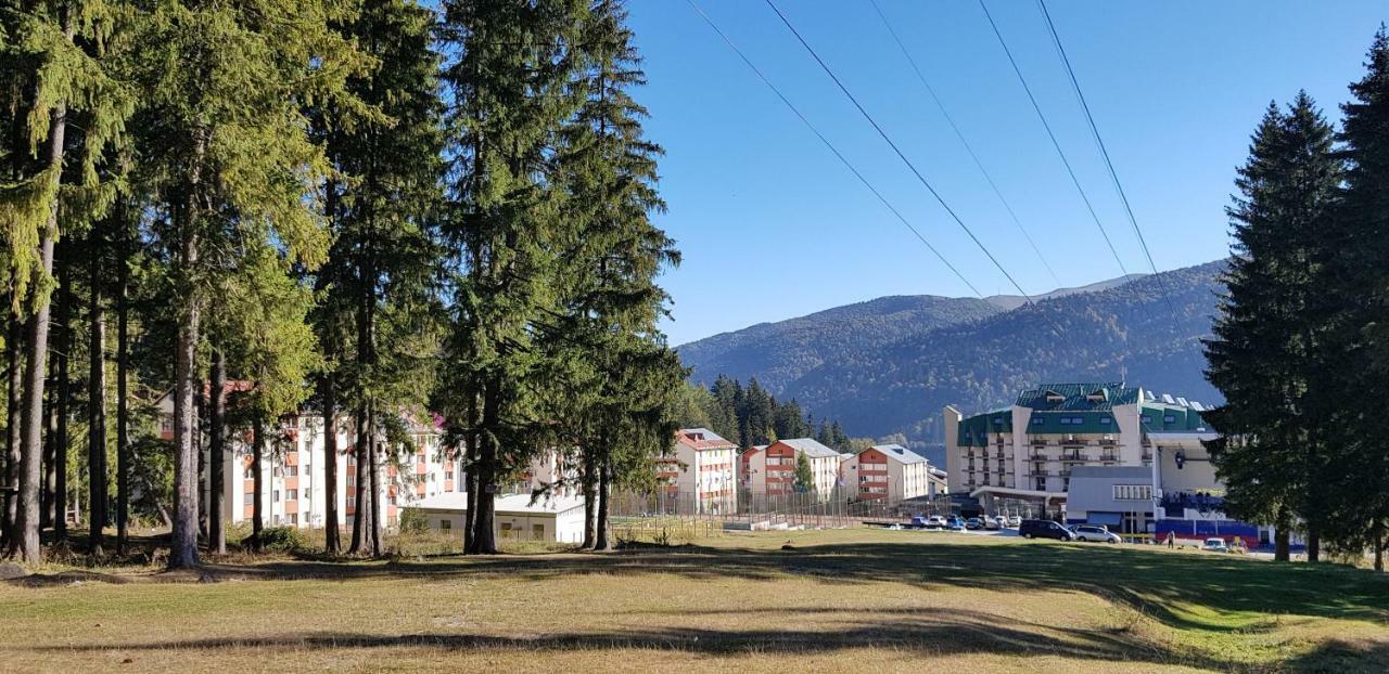 Apartament Silva Szászbuda Kültér fotó
