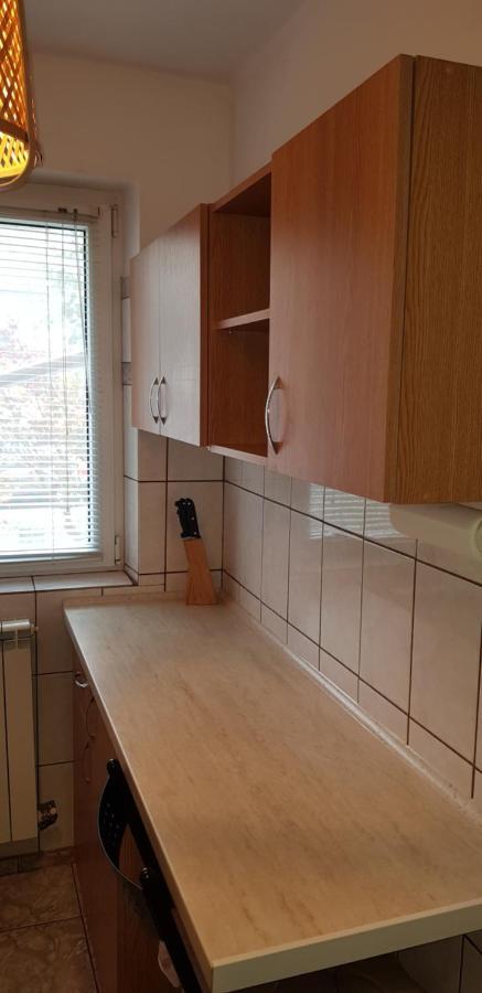 Apartament Silva Szászbuda Kültér fotó