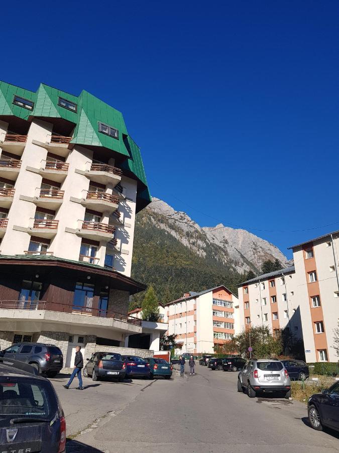 Apartament Silva Szászbuda Kültér fotó
